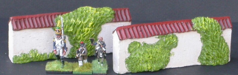 MUR7 2 grands murs droits tuilés avec végétation