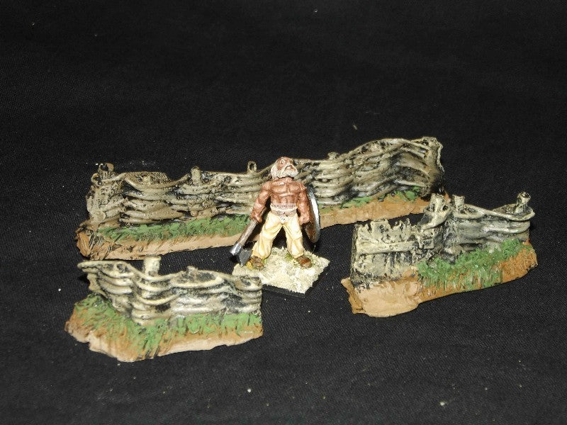 MUR29 3 claies d'osier