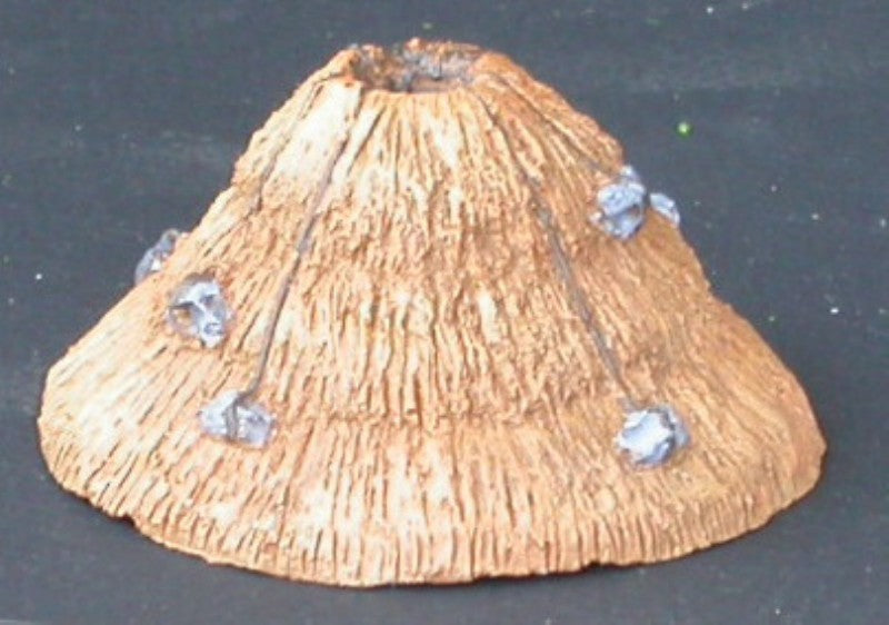 TOI17 Toit de chaumes avec cheminée