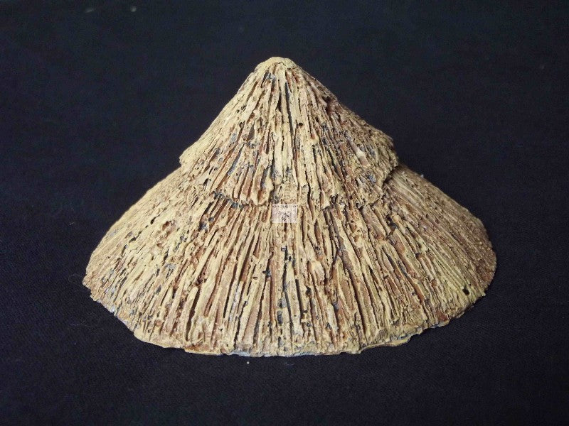 GRT5 Toit hutte pointu