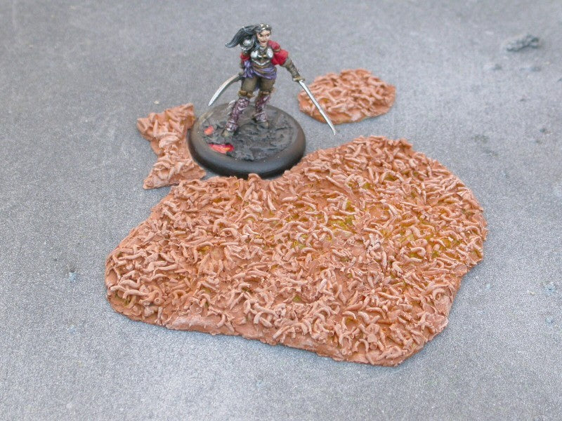 FAN6 Champ des mordants